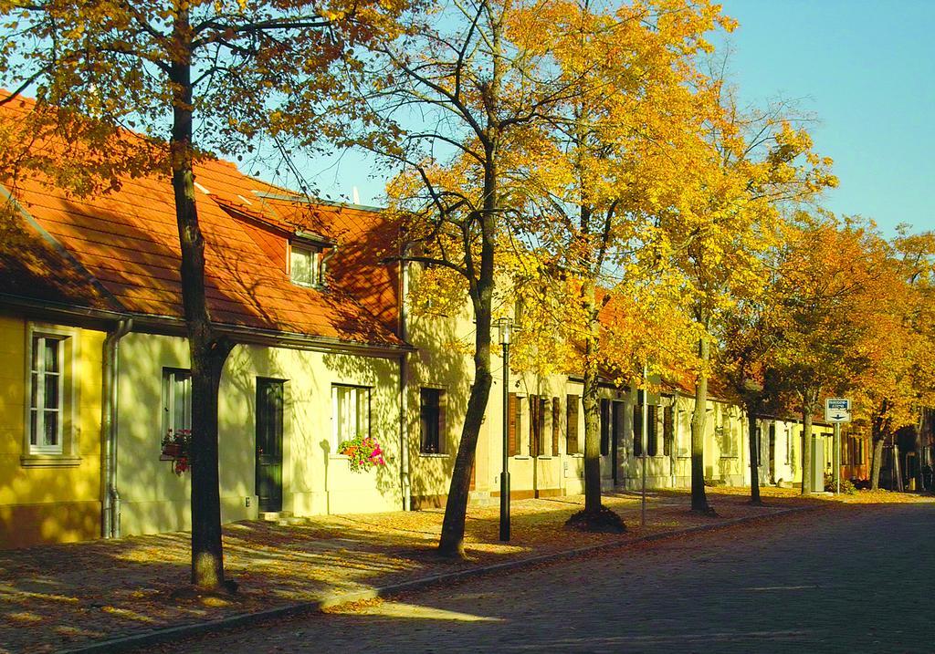 Keramik Hotel Rheinsberg Dış mekan fotoğraf